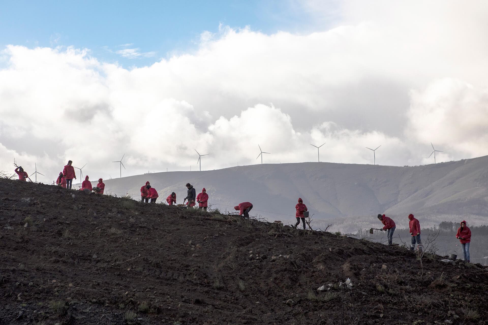 Humans and nature: the case for ecological justice 